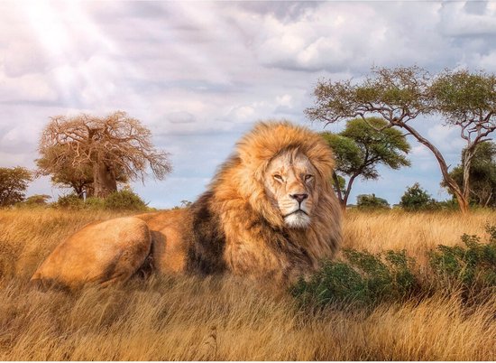 Clementoni Legpuzzel The King – 1000 Stukjes